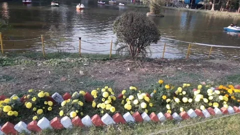 Water slow motion Stock Footage 125926402