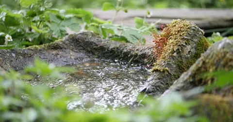 Water in slowmotion in a flow form Video stock 38023790