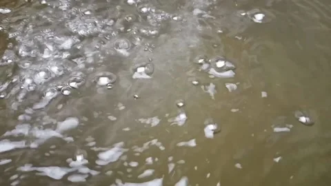 Water with Small Bubbles in the River Stock Footage 218451560