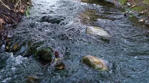 Water in a small creek Stock Footage 10810523