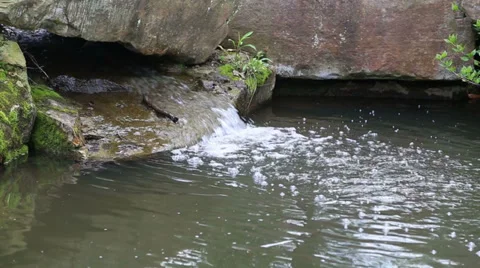 Water from a small streaam 動画素材 37683407