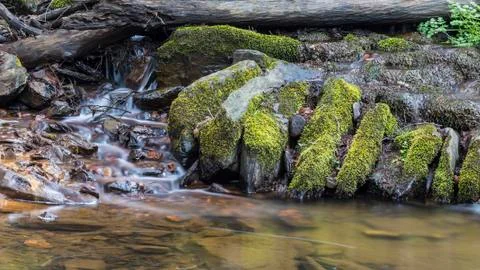 Water from a small stream. Stock Photos