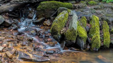 Water from a small stream. Stock Photos