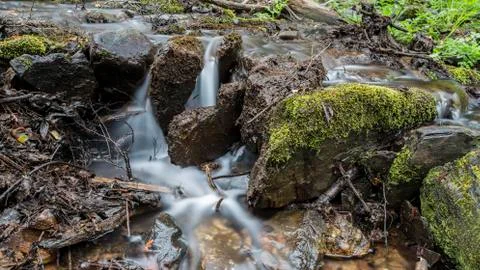 Water from a small stream. Stock Photos