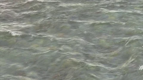 Water  is smoothly flowing in the river Stock Footage 75528449