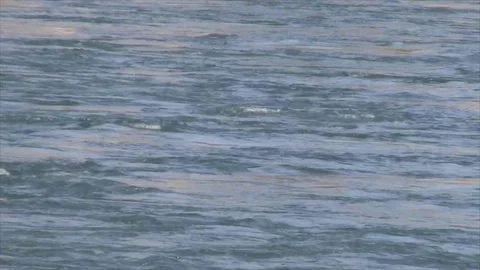 Water  is smoothly flowing in the river Stock Footage 75528534