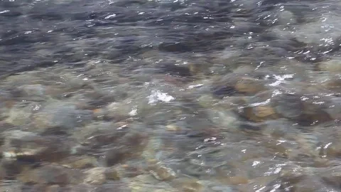 Water  is smoothly flowing in the river Stock Footage 75528621