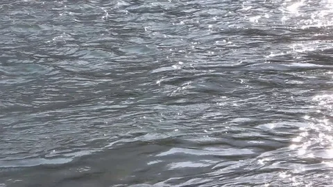 Water  is smoothly flowing in the river Stock Footage 75528903