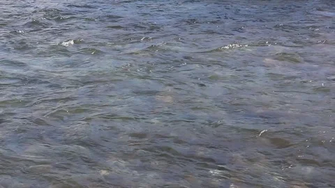 Water  is smoothly flowing in the river Stock Footage 75529040