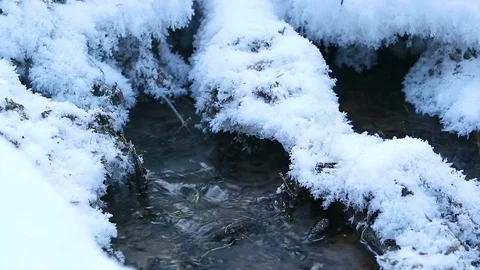 Water source in amazing winter forest. Ice crystals. Water flows smoothly. Video Stock Footage 71964449