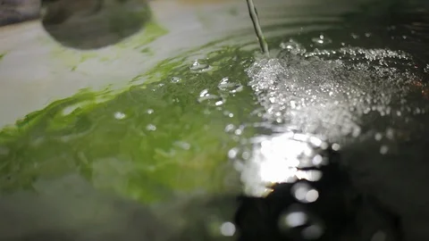 Water source and waterfall Видео 106021508