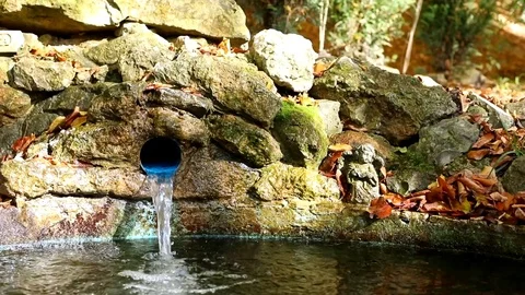 Water source in beautiful autumn forest with orange leaves on background. Sun 動画素材 120124377