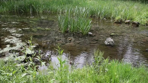 Water source flowing. Stock Footage 91963988