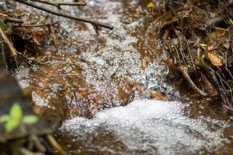 The water source flows down the rocks into the river Stock Photos