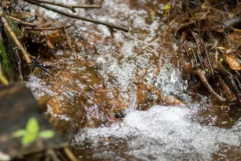 The water source flows down the rocks into the river Stock Photos