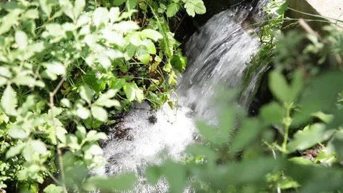 Water source Stock Footage 74079803