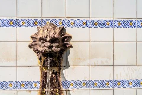 Water source in the forest Stock Photos