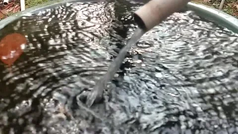 Water, Source of Life Stock Footage 242780661