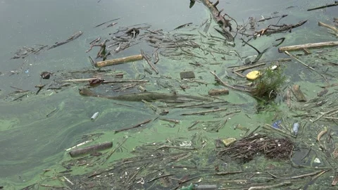 Water source that is polluted with various garbage. Environment pollution. Video stock 158872978