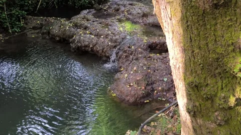 A water source in the province of Rome Vidéo 277687573