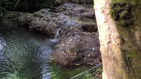 A water source in the province of Rome Vidéo 277687854