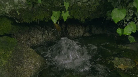 The water source of a river Stock Footage 131542225