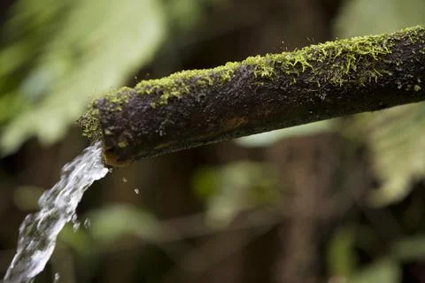 Water source from rusted pipe in the forest Stock Photos
