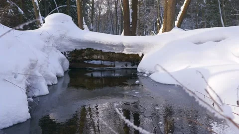 Water source in snow-covered forest Stock Footage 194280209