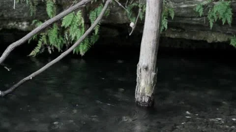 Water source2.mp4 Stock Footage 8850686