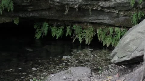 Water source.mp4 스톡 동영상 8850675