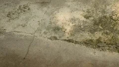 Water spilling over onto the floor of the backyard of an Indian house. Vídeos de archivo 117128313