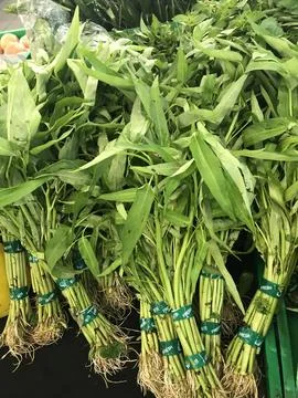 Water spinach Stock Photos