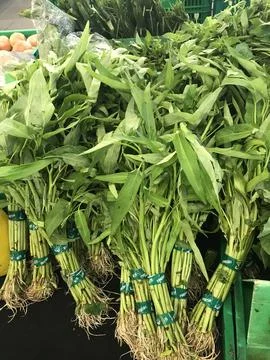 Water spinach Foto stock
