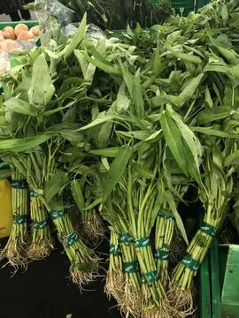 Water spinach Stock Photos