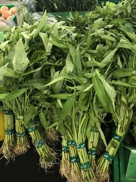 Water spinach Stock Photos