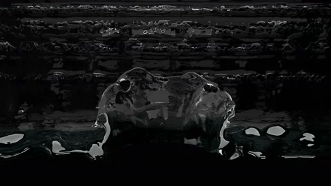 Water Splash 17 Stock Footage 166566421