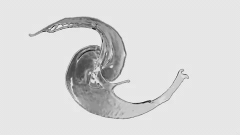 Water Splash, With Alpha Matte Stock Footage 164780037