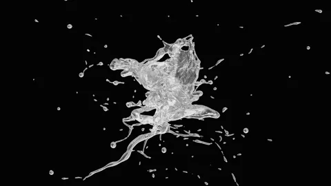 Water Splash, With Alpha Matte Stock Footage 282733399