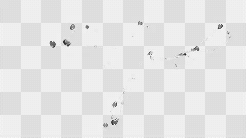 Water Splash, With Alpha Matte Stock Footage 308475965