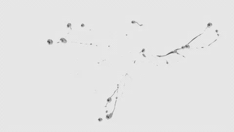 Water Splash, With Alpha Matte Stock Footage 308476587