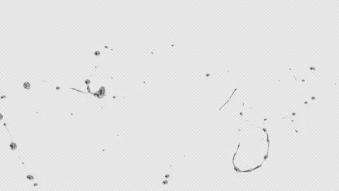 Water Splash, With Alpha Matte Stock Footage 310263071