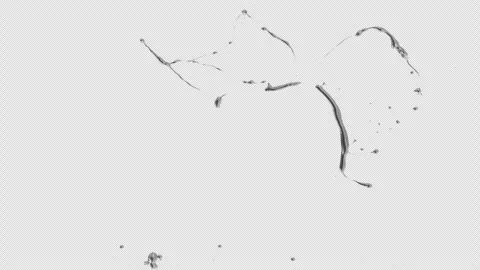 Water Splash, With Alpha Matte Stock Footage 311882519