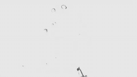 Water Splash, With Alpha Matte Stock Footage 315292423