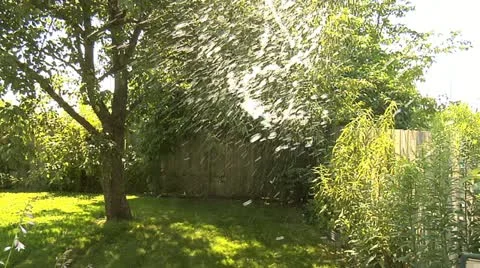 Water splash backyard 01 Stock Footage 12504429