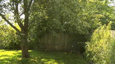 Water splash backyard 02 Stock Footage 12504437