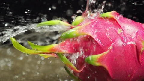 Water Splash on Dragon Fruit Aka the Pitaya Stock Footage 130142181