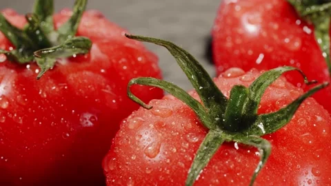 Water splash drop on fresh red tomatoes on white background Stock Footage 147283883