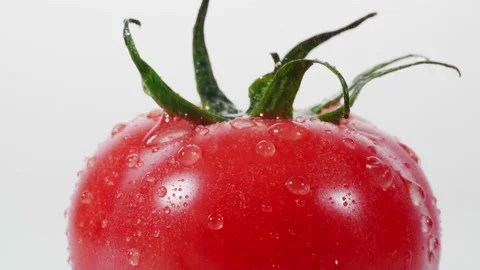 Water splash drop on fresh red tomatoes on white background Stock Footage 147283921
