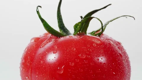 Water splash drop on fresh red tomatoes on white background Stock Footage 147283945
