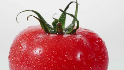 Water splash drop on rotating fresh red tomatoes on white background Stock Footage 147284022